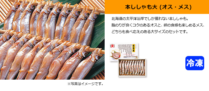 本ししゃもオスメスセット