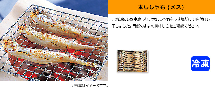 本ししゃもメス